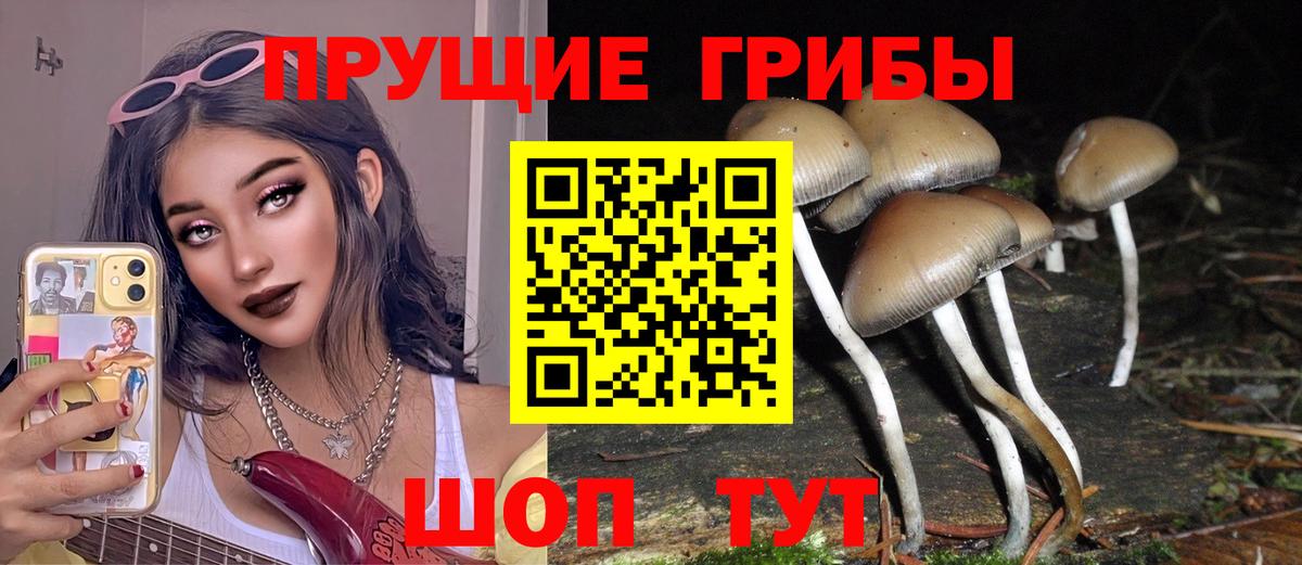 Галлюциногенные грибы GOLDEN TEACHER Городец