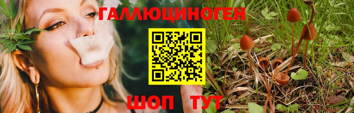 Галлюциногенные грибы Cubensis  Вход с VPN  Псилоцибиновые грибы Magic Shrooms  Городец 